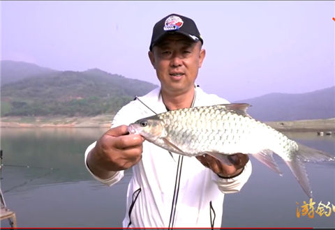 跟着大毛学钓鱼54集 初探壮族隐秘山寨 寻钓罕见青竹鲤鱼 [视频]