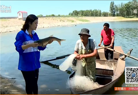 《江湖行》沙地边缘寻大鲤 [视频]