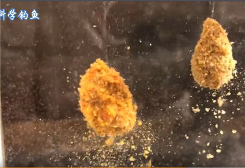 科学钓鱼 3分钟揭秘两款化绍新的看家鲤鱼饵料 [视频]