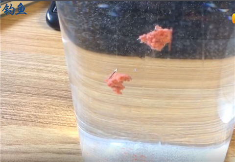 科学钓鱼 化氏最强鲫鱼饵料上商家吹牛了没 [视频]