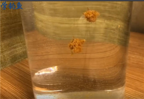 科学钓鱼 化绍新说的最强鲫鱼饵料到底如何 [视频]