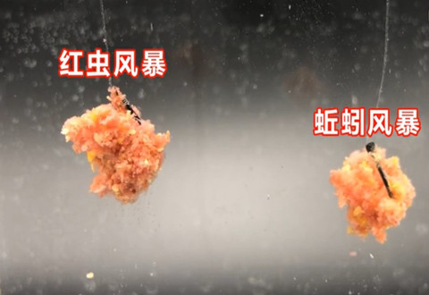 科学钓鱼 化绍新的蚯蚓风暴PK邓刚的红虫风暴 [视频]