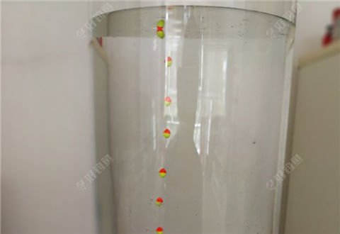 传统钓七星漂拉饵钓鲫鱼，不可多得的优秀钓鲫法