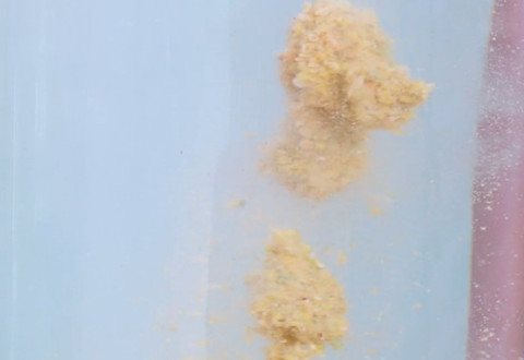 饵熟能详 夏季搓饵钓草鱼 [视频]