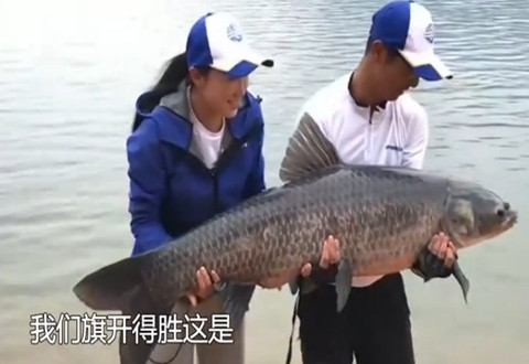 鱼资渔味20181009期 若萱 翼峰千岛湖擒两尾超60斤青鱼 [视频]