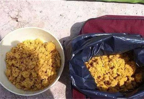 饵料的三大类以及五种挂蚯蚓的方法