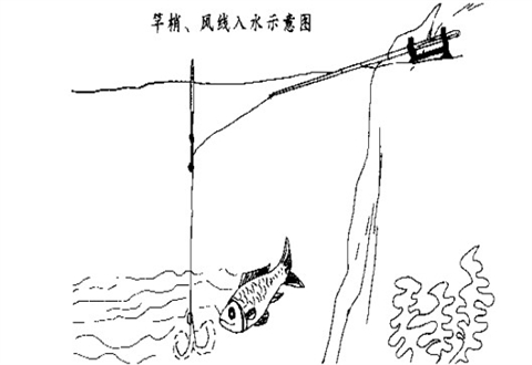台钓怎么学?3分钟让你快速了解台钓基础知识