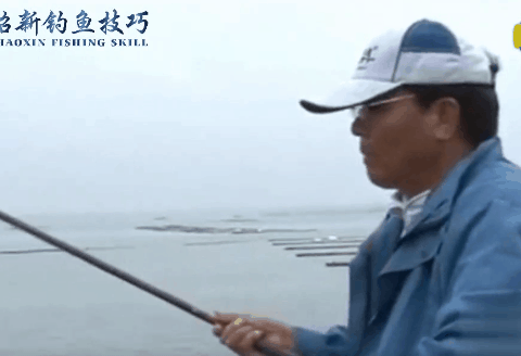 化绍新钓鱼技巧  化老师教你如何手竿钓翘嘴 [视频]