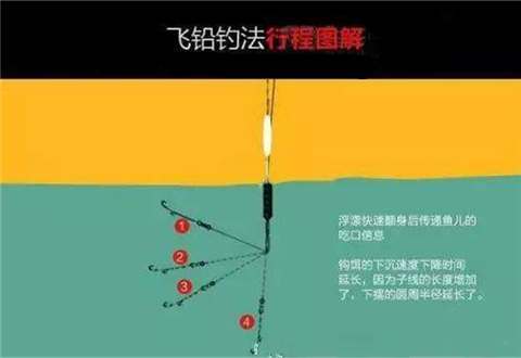 台钓飞铅钓法，冬季照样上鱼