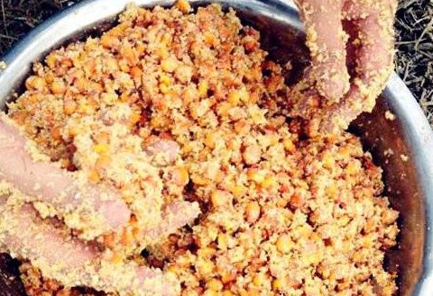 自制钓鲫鱼饵料，简单方便快捷