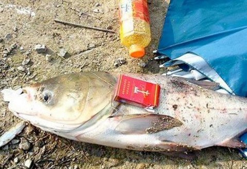 怎么冬钓鲫鱼?找准这5个钓位爆护很容易