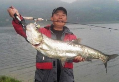 冬季不能钓翘嘴?老钓友:是你不会钓而已