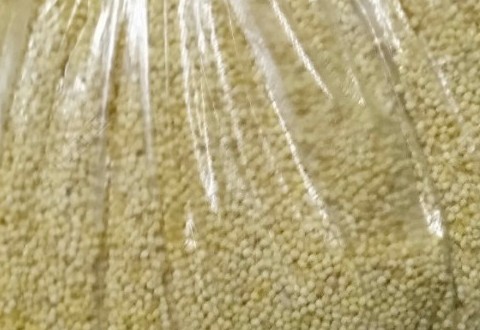 自制饵料,垂钓鲫鱼自制酒米