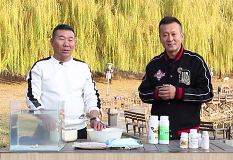 钓饵大讲堂第26期 冬季虾肉饵料搭配 [视频]