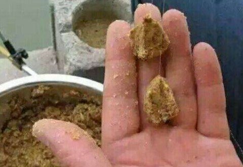窝料用不完太可惜?三个方法让鱼饵循环利用