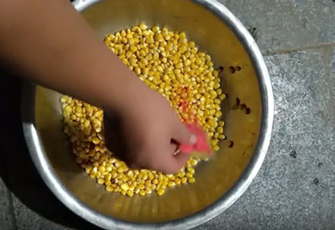 小罗钓鱼 玉米窝料制作方法 钓大鱼也适用 [视频]