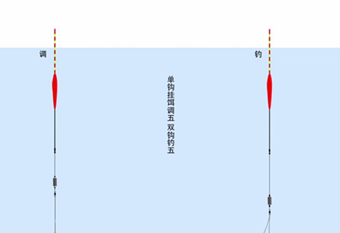 从0开始学钓鱼 199单钩挂饵调五目双钩钓五目 [视频]