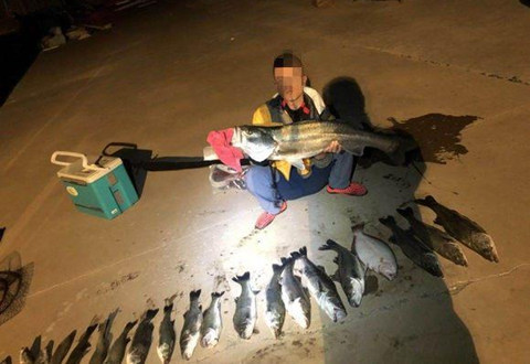 大连钓友和师傅两人路亚近20条海鲈,钓友们不要羡慕!