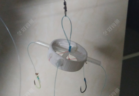 自制手竿矶竿两用水怪，准备钓鲢鳙