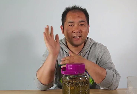 鱼饵君 高度酒泡制药酒 开饵打窝两不误 [视频]