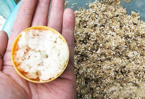 春季野钓打窝用什么窝料好?自制的简单又好