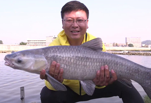 猎青第二季36 老瑭挑战鑫丰瑞 草鱼连竿青鱼难寻 [视频]
