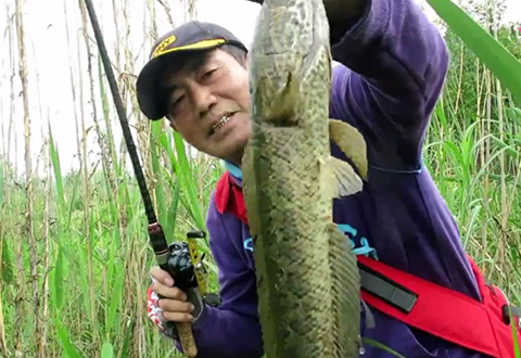 三耳鱼的黑鱼世界 2019春季雷强之十三 [视频]