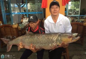 四川父子钓起1.6米长鳡鱼（重达近100斤）
