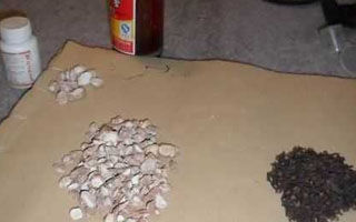 简单特效的钓鱼酒米制作方法全解