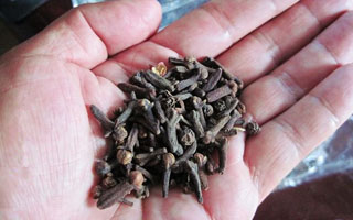自制丁香酒米拌麦麸 专攻鲫鱼的窝料配方