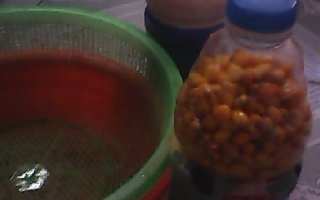 自制野钓大鲤鱼草鱼用曲酒蜂蜜玉米粒