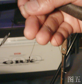 搓饵