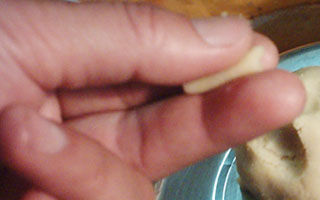 鲫鱼饵料的搓饵方法(附详细步骤图)