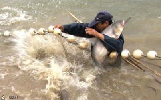 海钓之放长线钓大鱼的技巧总结