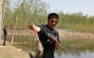 钓黑鱼的钓组钓饵的选择与钓法