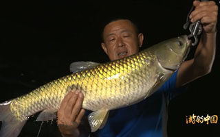 游钓中国第一季33集：燕塞湖水库擒野生大草鱼 [视频]