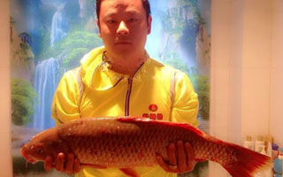 夜钓长江追逐大鱼梦 七次终获大鲤归