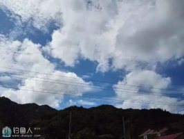 那人那鱼那事,那美好的渔获回忆