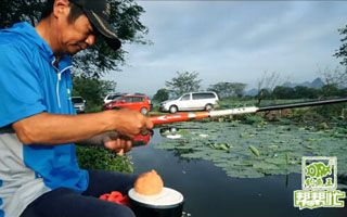 钓鱼王帮帮忙 第20集 荷塘野钓饵料搭配技巧[视频]