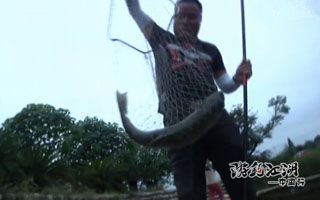 游钓江湖之中国行33 笑哥小水库弯弓战大草鱼 [视频]
