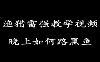雷强教学之谈晚上如何路黑鱼及荧光蛙 [视频]
