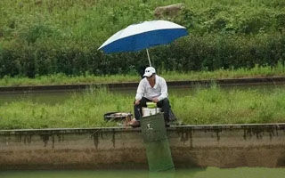台钓飞铅钓法的操作与运用