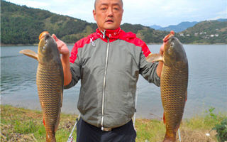 白龙湖包食钓法珠珠钩远投钓大翘嘴鲤鱼