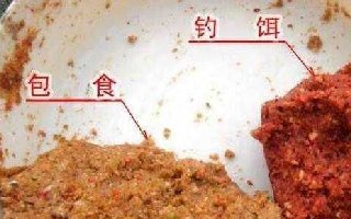 包食钓法钓大鱼技巧攻略