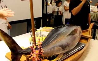 南海油田10分钟钓获82斤大目金枪鱼 [视频]