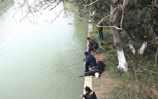 秋季钓遛边鱼的钓法与应对攻略