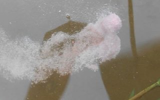 钓鱼时饵料如何控制雾化应对鱼情