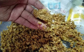 秋季黑坑钓鱼的开饵技巧
