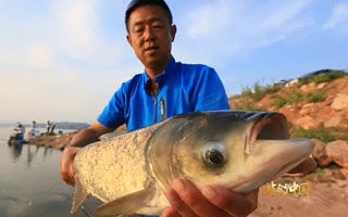 游钓中国第一季41集：红领巾水库连竿不断擒鲢鳙上 [视频]