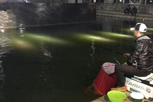 赤鬼小彤黑坑日记03 夜钓黑坑配置完美拉饵 [视频]